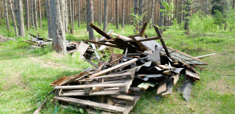 Debris Removal and Disposal
